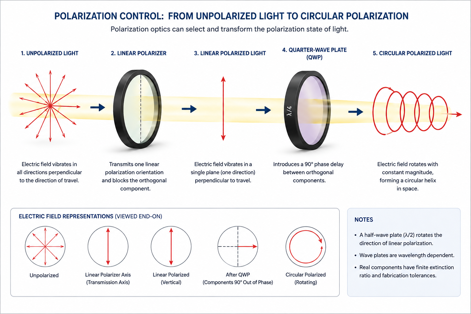 Linear, elliptical, and circular polarization states